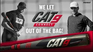 Marucci CAT9 Connect BBCOR Baseball Bat: MCBCC9 12 Marucci CAT9 Connect BBCOR Baseball Bat: MCBCC9 - Image 10